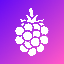 Berrie Dex logo
