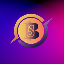 BNS COIN logo