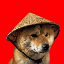 Chinese Doge Wow logo