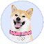 DogeGF logo