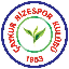 Rizespor Token logo