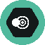 SNPIT TOKEN logo