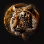 TigerMoon logo
