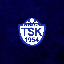 Tuzlaspor Token logo