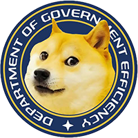 Department of Government Efficiency DOGE