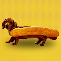 Hot Doge