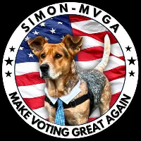 Simon the NYC Dog Mayor