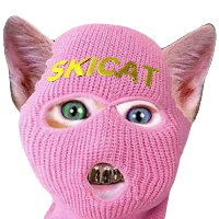 Ski Mask Cat