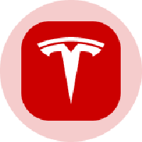Tesla Tokenized Stock (Ondo)