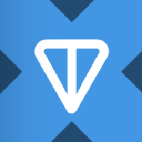 Ton Strategy tokenized stock (xStock)
