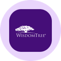 WisdomTree US Quality Dividend Growth Tokenized Fund (Ondo)