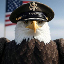 Army Eagle 250 logo