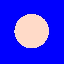 Bald logo