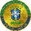 Brazil National Football Team Fan Token logo