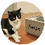MrBeast's Cat logo