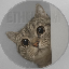 Nala logo
