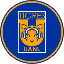 Tigres Fan Token logo