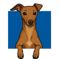 Cosmo