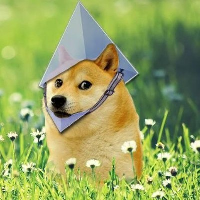 ETH DOGE