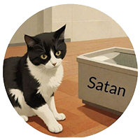 MrBeast's Cat