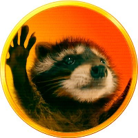 Pedro The Raccoon