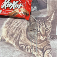 Remember KitKat