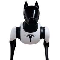 Tesla Dog