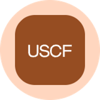 US Brent Oil Fund Tokenized Stock (Ondo)