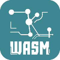 ZKWASM