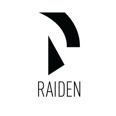 Raiden Network ico